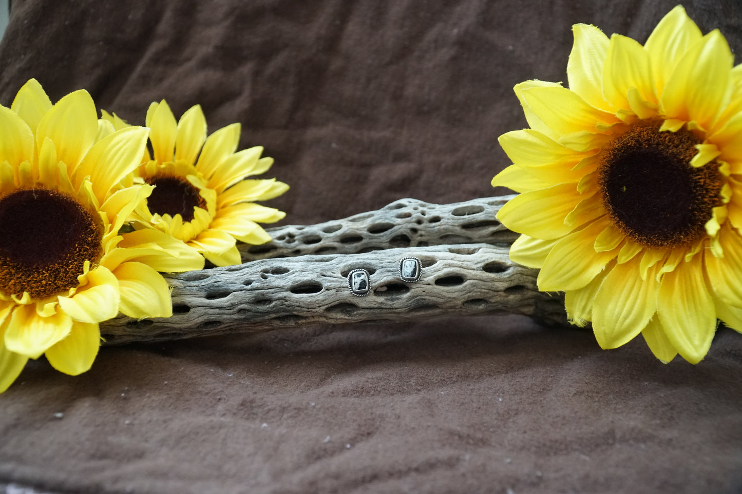 🌻white Buffalo studs