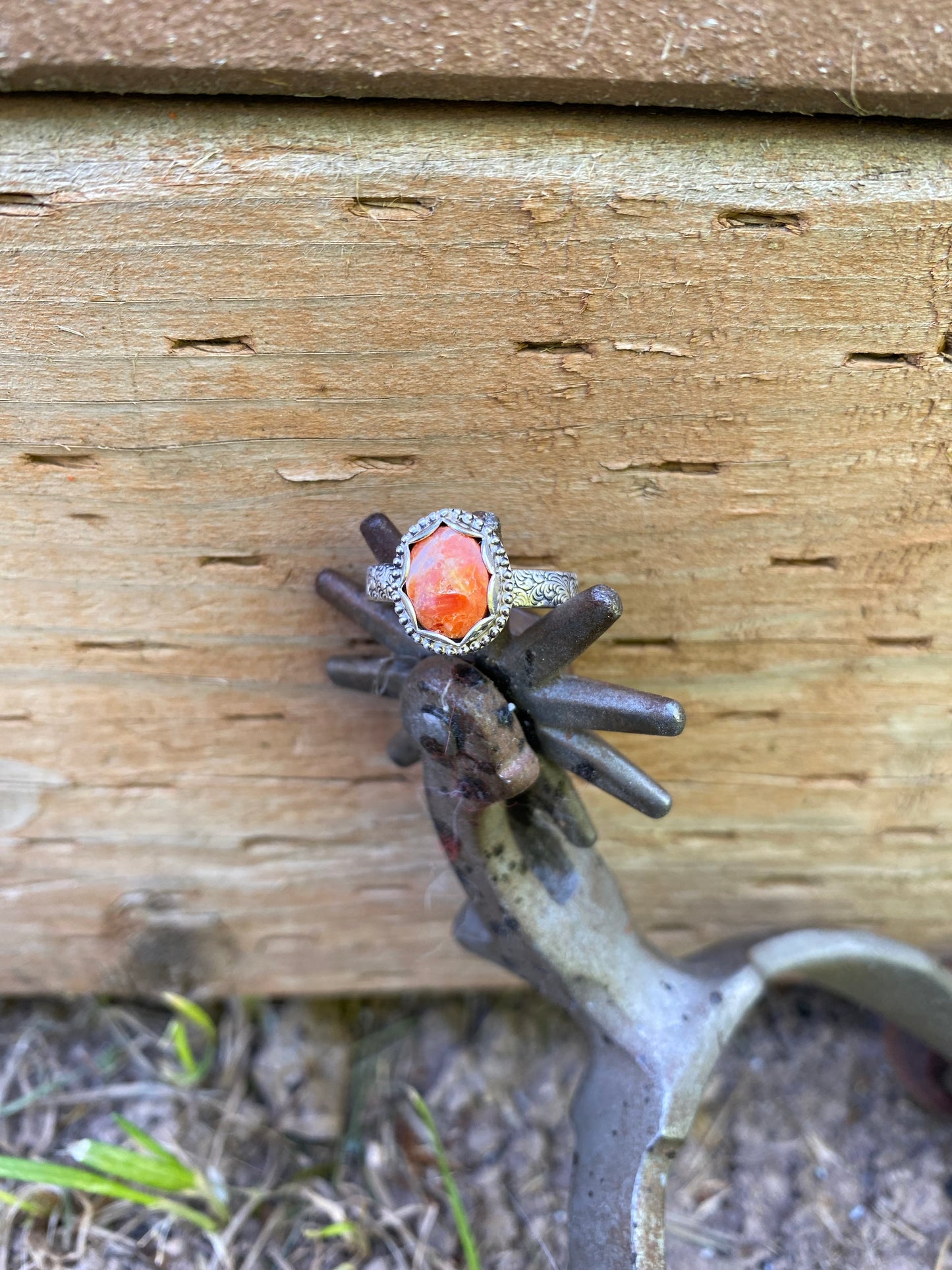 ☀️orange spiny 7.5