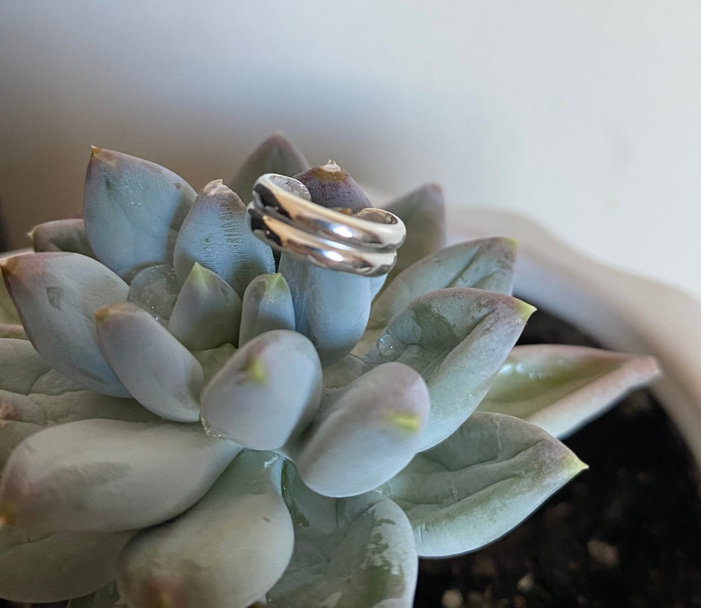 Doubled Ear Cuff