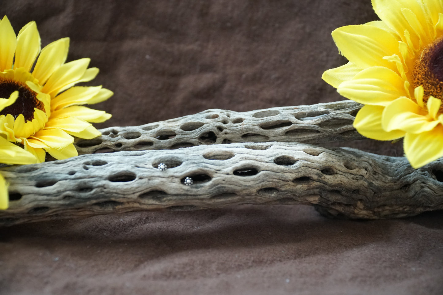🌻dainty sterling flowers