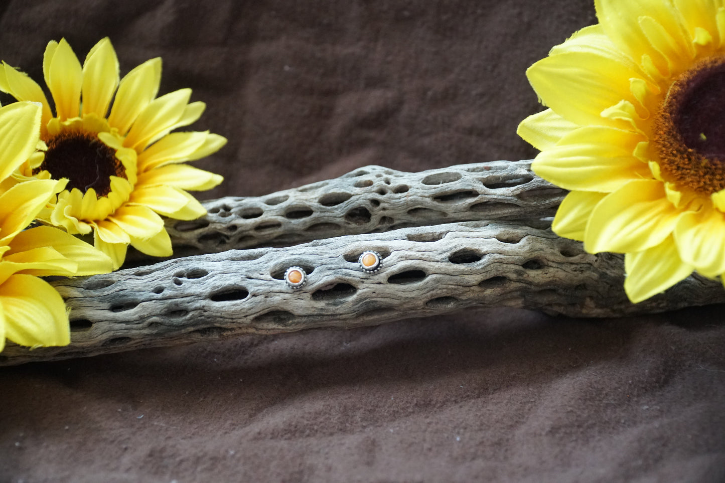 🌻spiny oyster studs