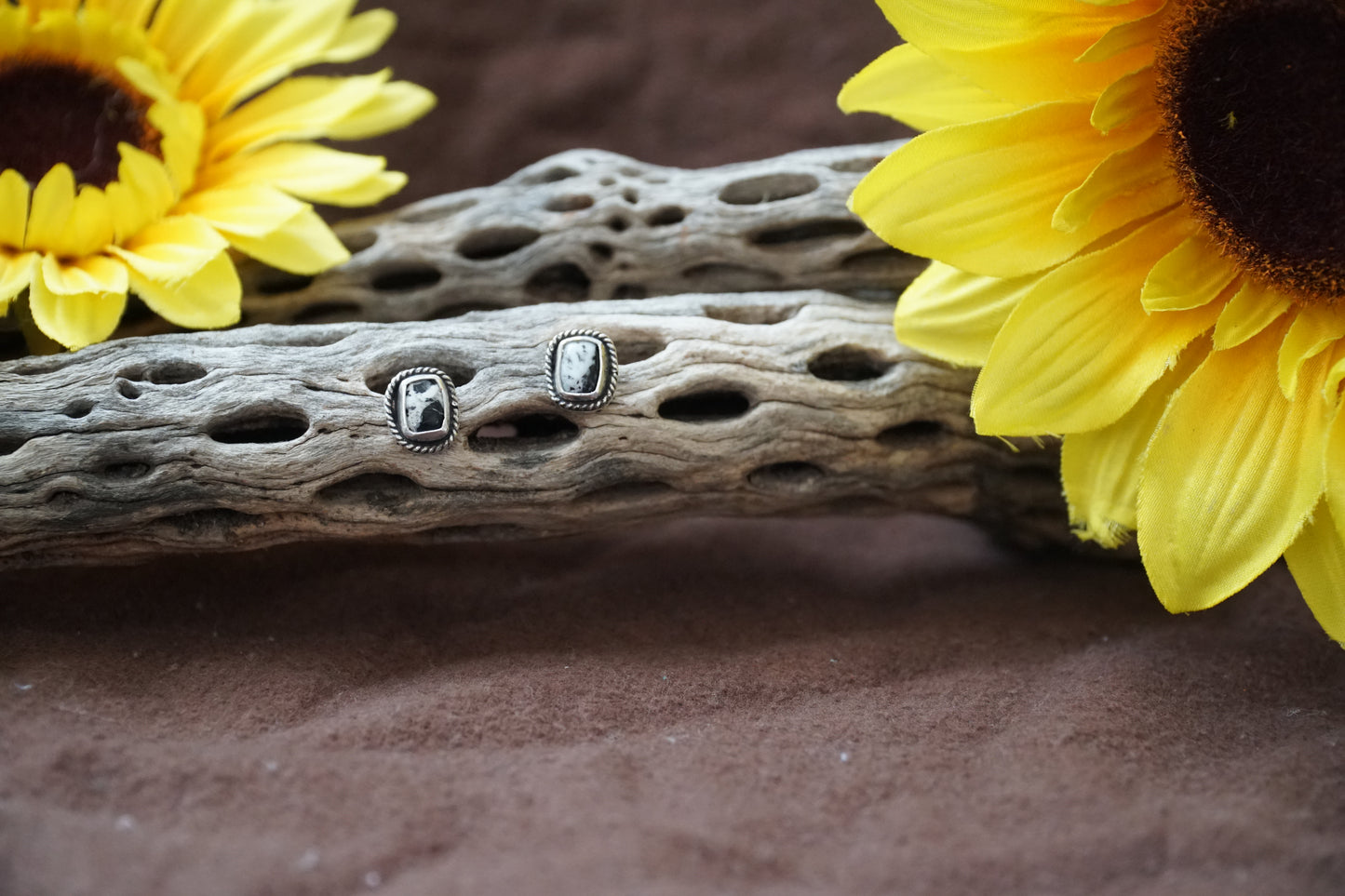 🌻white Buffalo studs
