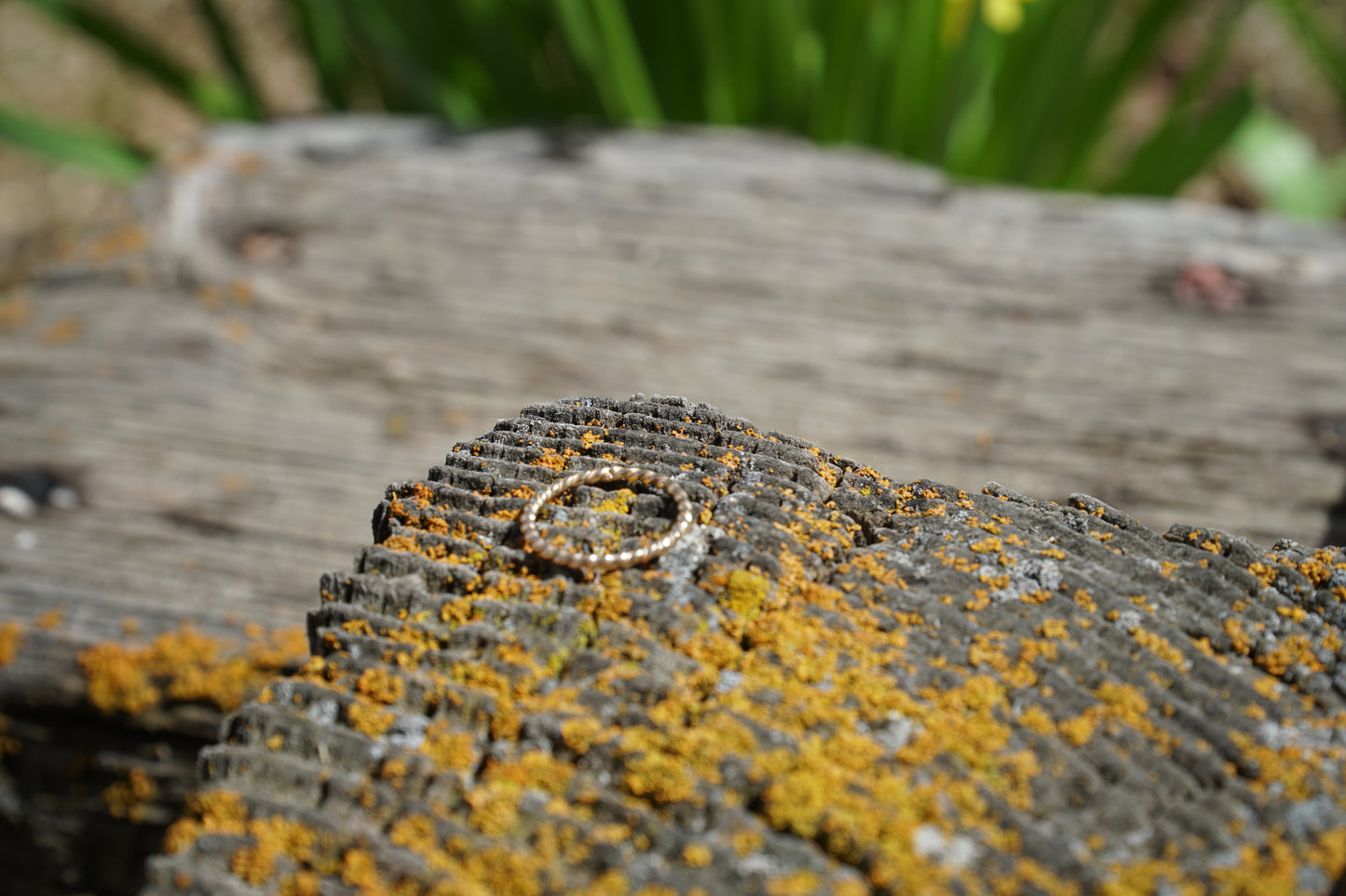 🌼gold filled twist