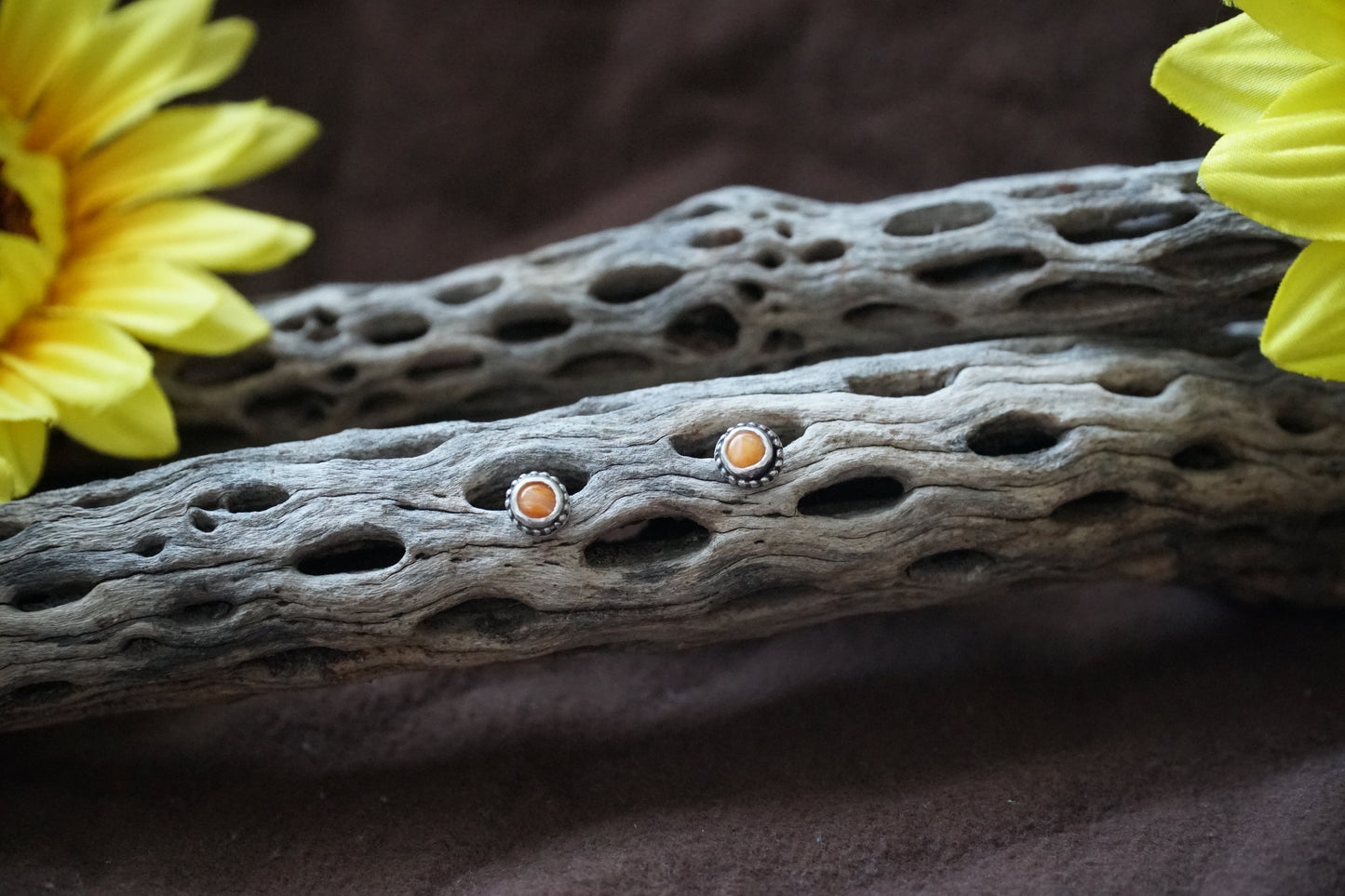 🌻spiny oyster studs