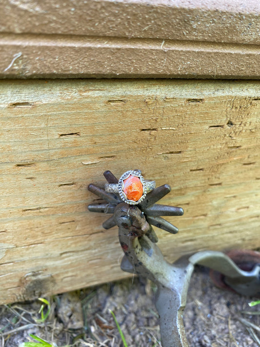 ☀️orange spiny 7.5