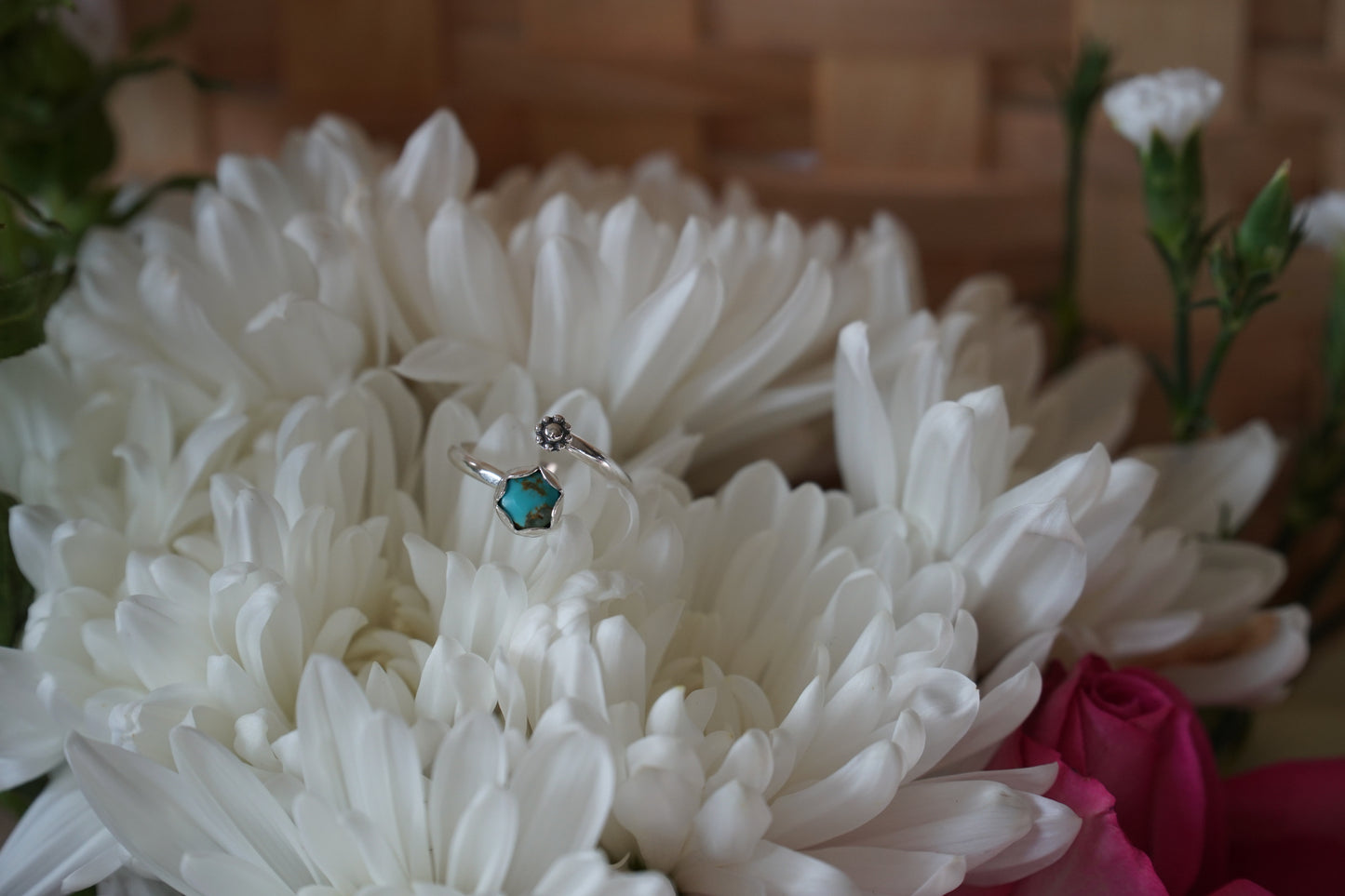 🌸Mexican dainty flower