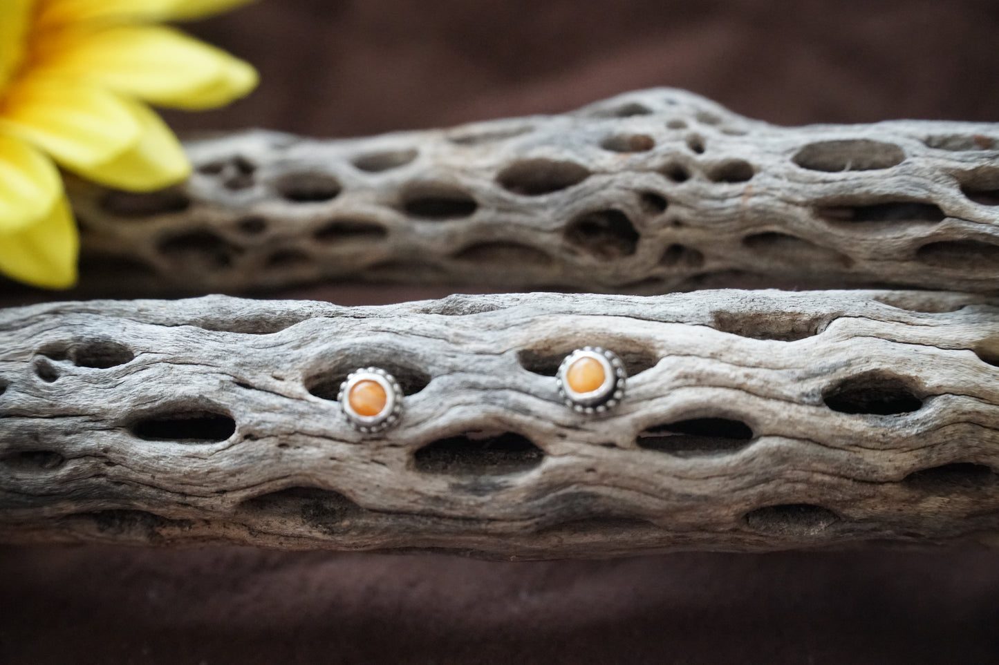 🌻spiny oyster studs
